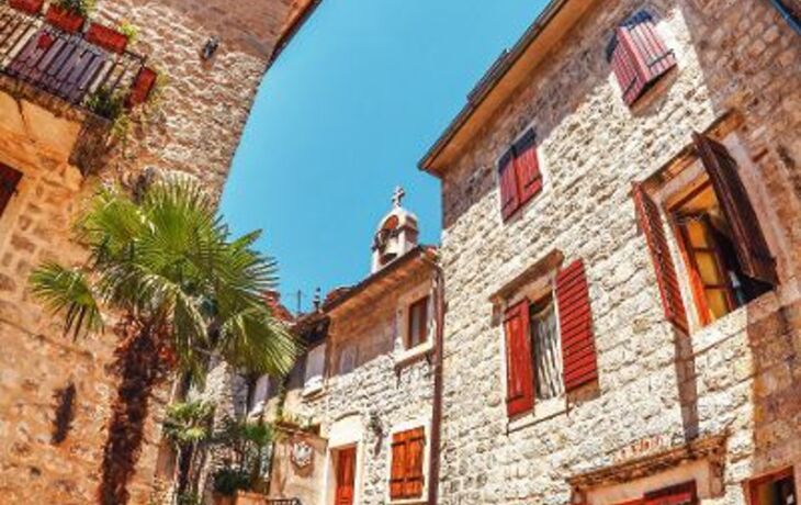Kotor