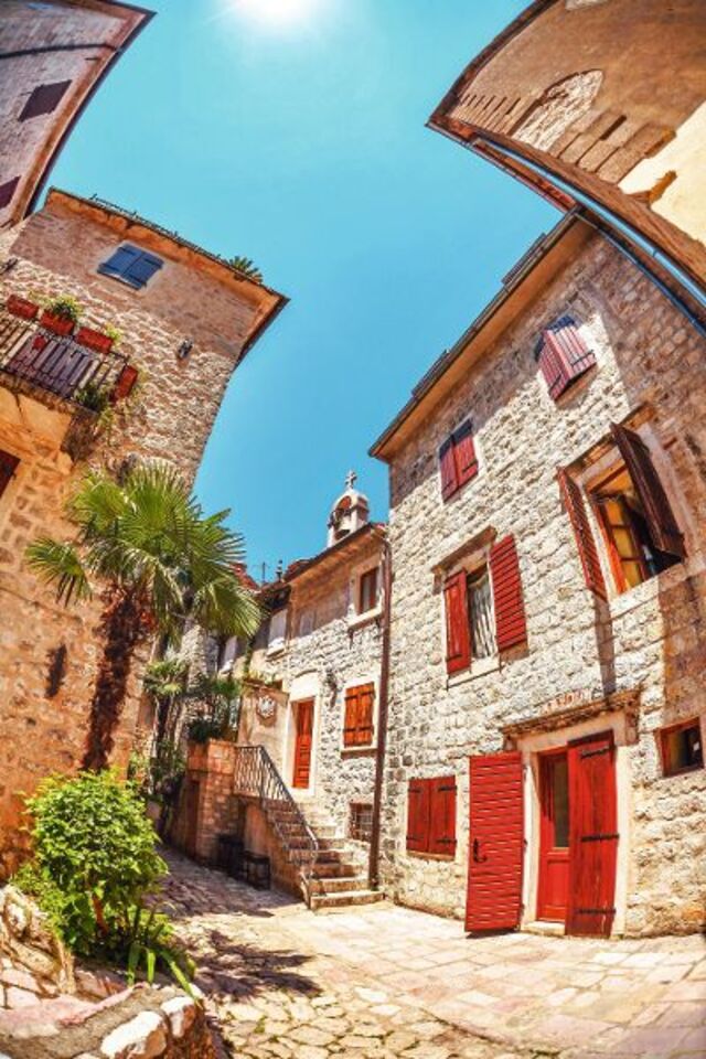 Kotor