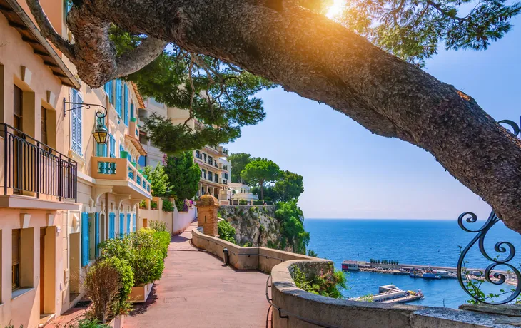 Monte Carlo
