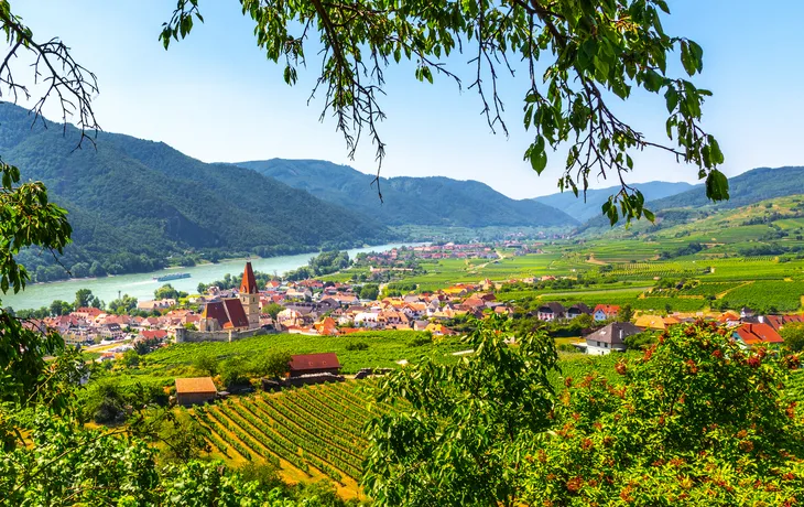 Wachau