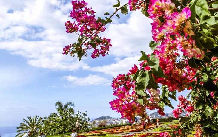 Funchal