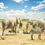 Etosha Nationalpark