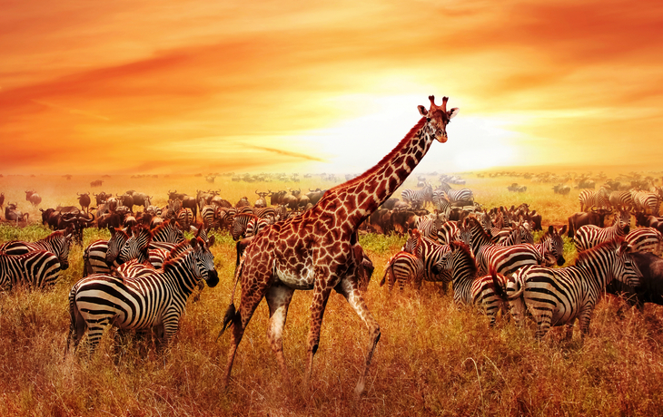 Etosha Nationalpark
