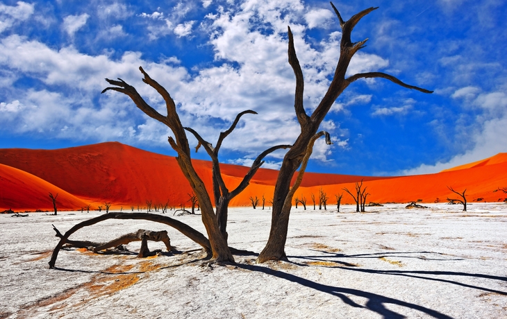Namib-Wüste