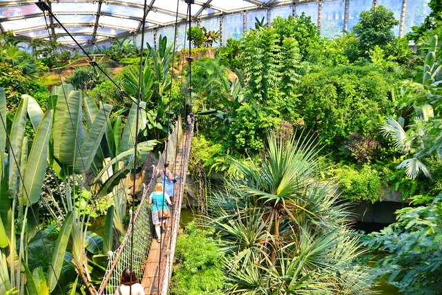 Riesentropenhalle Gondwanaland