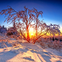 Taunus