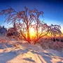 Taunus