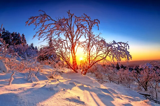 Taunus