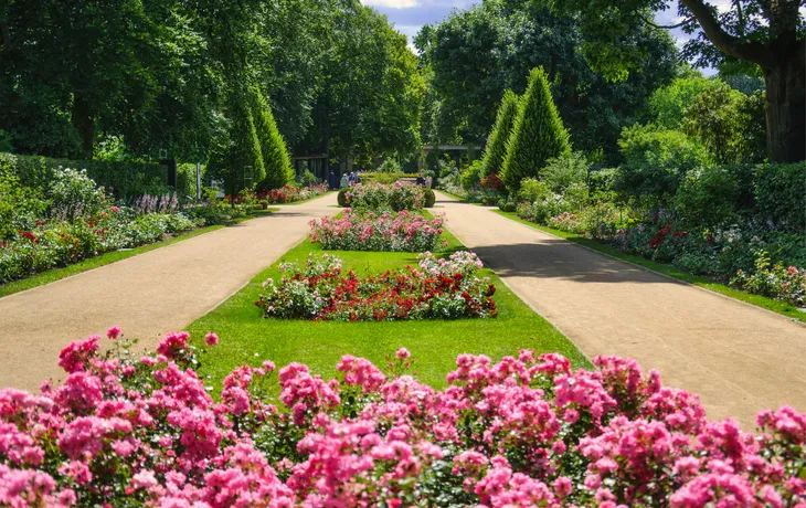 Im Forster Rosengarten