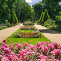 Im Forster Rosengarten