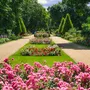 Im Forster Rosengarten