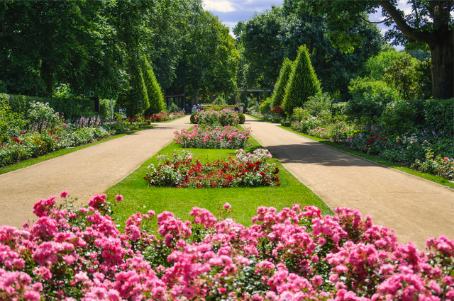 Im Forster Rosengarten