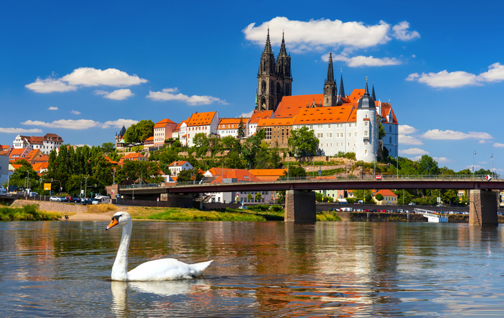 Awesome view on Albrechtsburg castle and cathedral on the river 