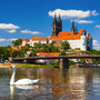 Awesome view on Albrechtsburg castle and cathedral on the river 