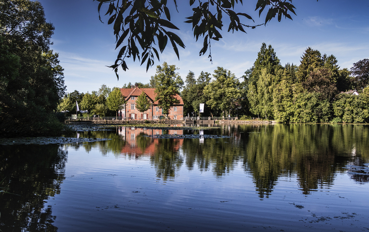 Mühlenteich nahe Trittau