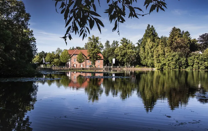 Mühlenteich nahe Trittau
