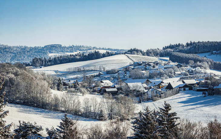 Bayerischer Wald