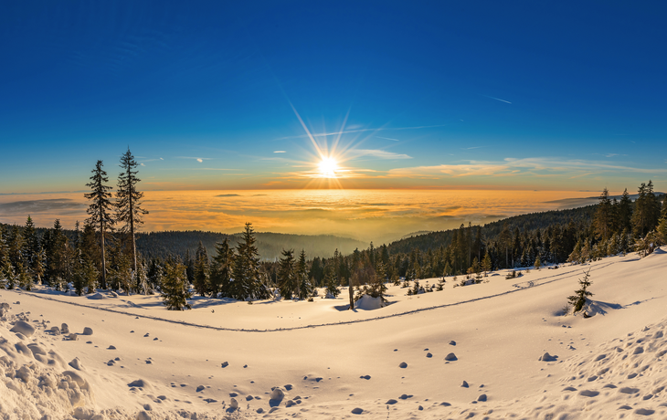Bayerischer Wald
