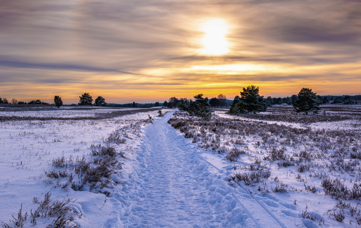 Lüneburger Heide