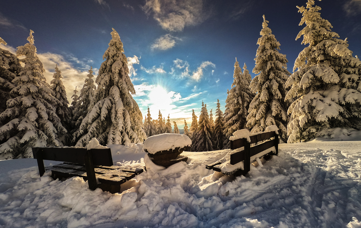 Thüringer Wald