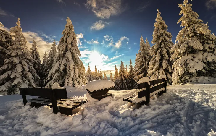 Thüringer Wald