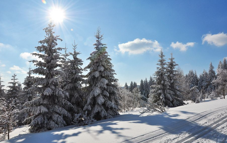 Thüringer Wald