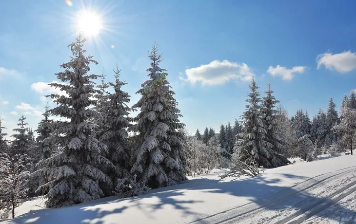 Thüringer Wald