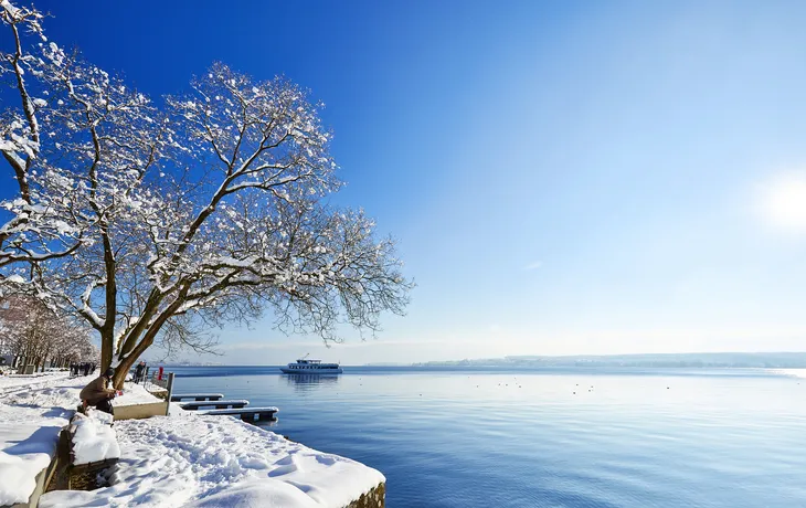 Bodensee 