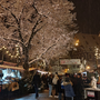 Weihnachtsmarkt in Nördlingen