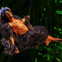 TARZAN -  das Musical