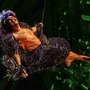 TARZAN -  das Musical