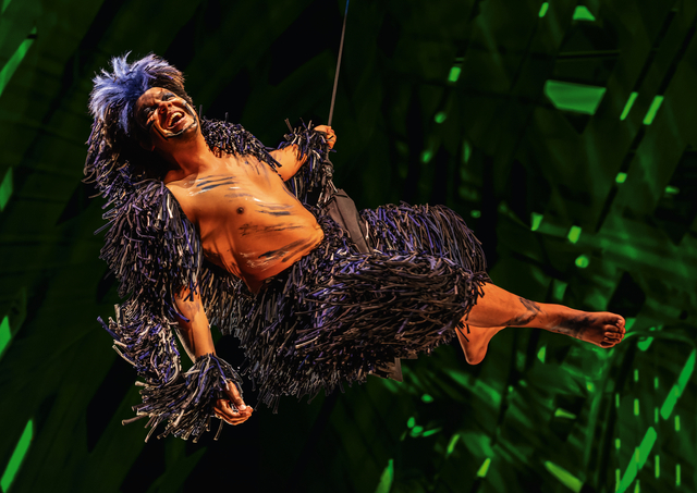 TARZAN -  das Musical