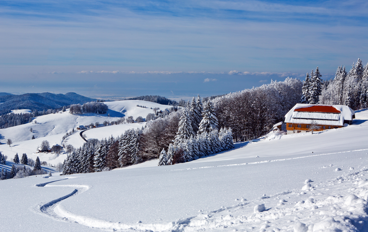 winterlicher Schwarzwald, Deutschland