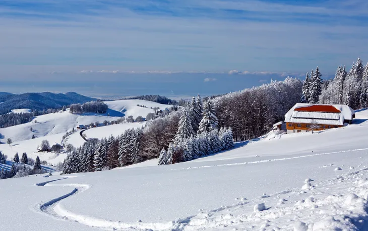 winterlicher Schwarzwald, Deutschland