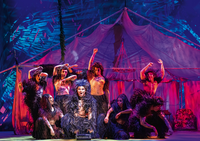 TARZAN -  das Musical