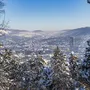 Jena