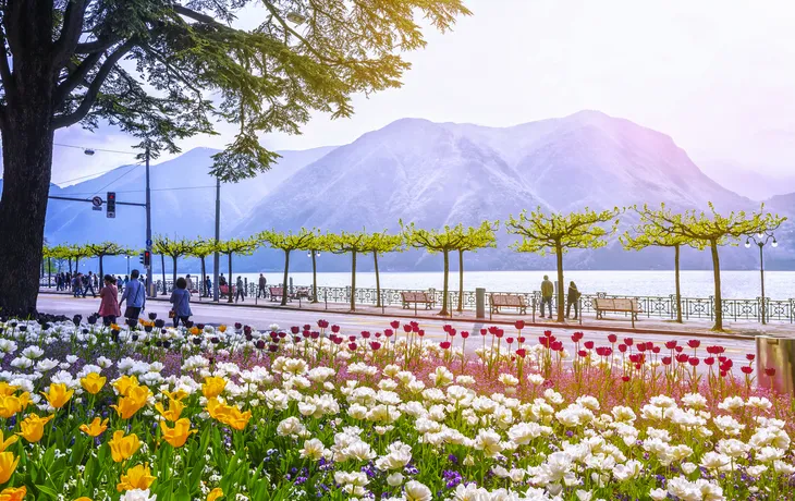 Lugano
