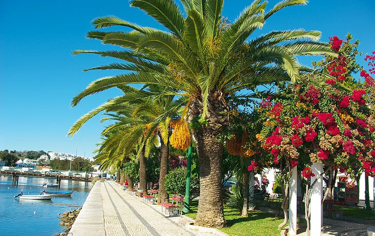 Tavira