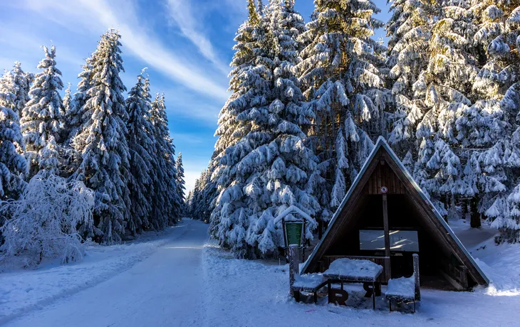 Thüringer Wald