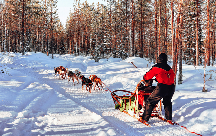 Husky-Tour