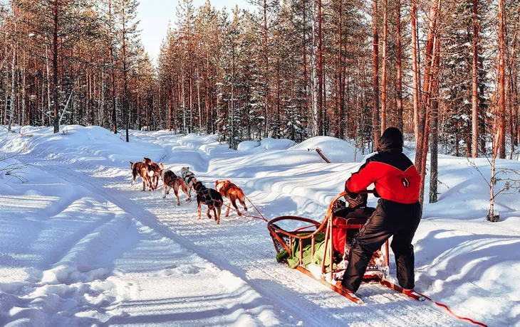 Husky-Tour