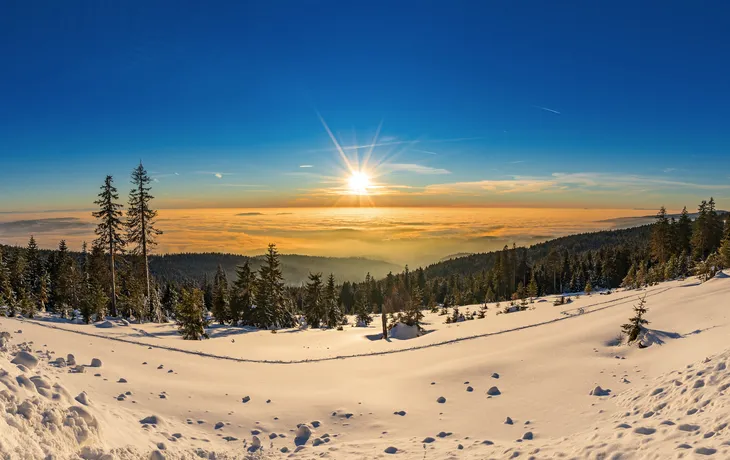 Bayerischer Wald