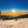Bayerischer Wald