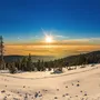 Bayerischer Wald