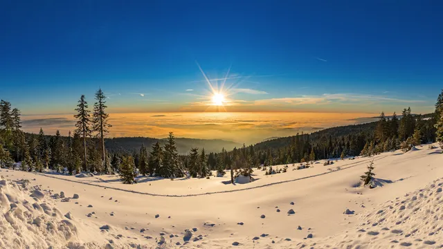 Bayerischer Wald