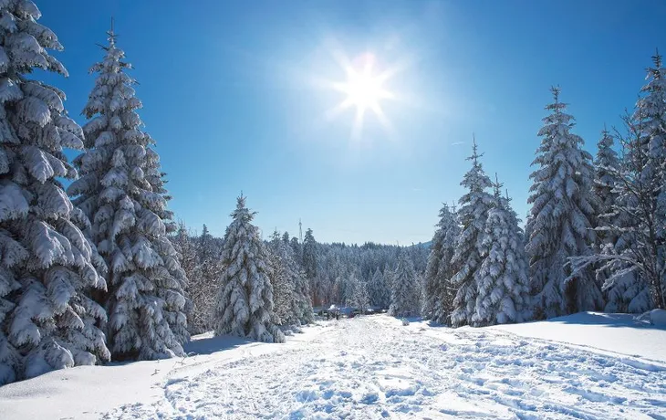 Winterlandschaft