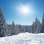 Winterlandschaft