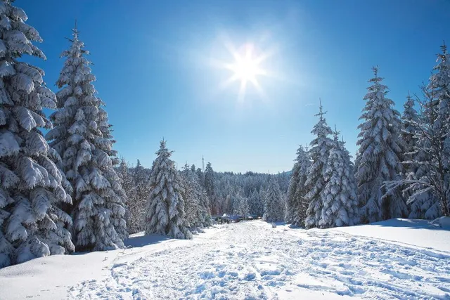 Winterlandschaft