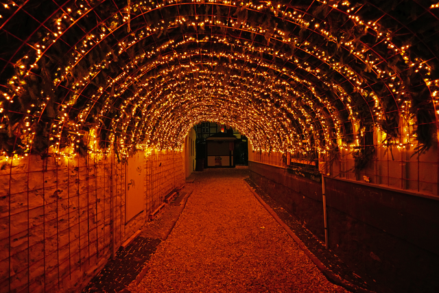 Goslar Weihnachtsmarkt