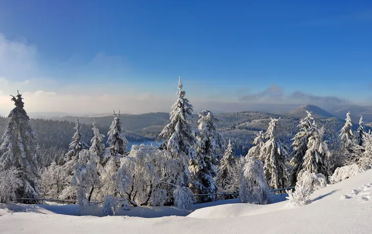 Winterpanorama vom Thüringer Wald